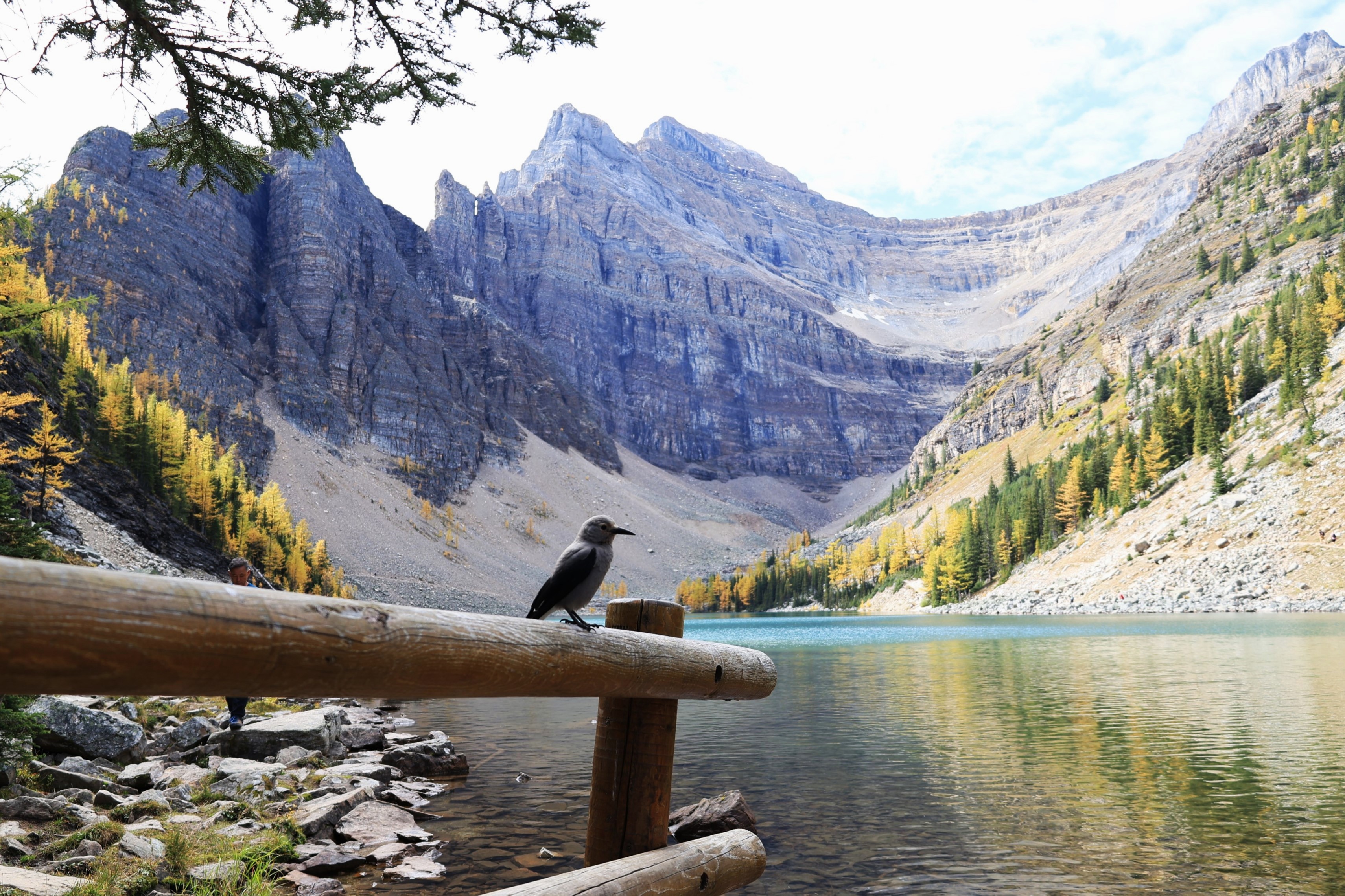 Lake Louise